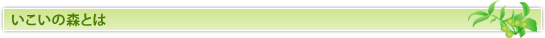 いこいの森とは